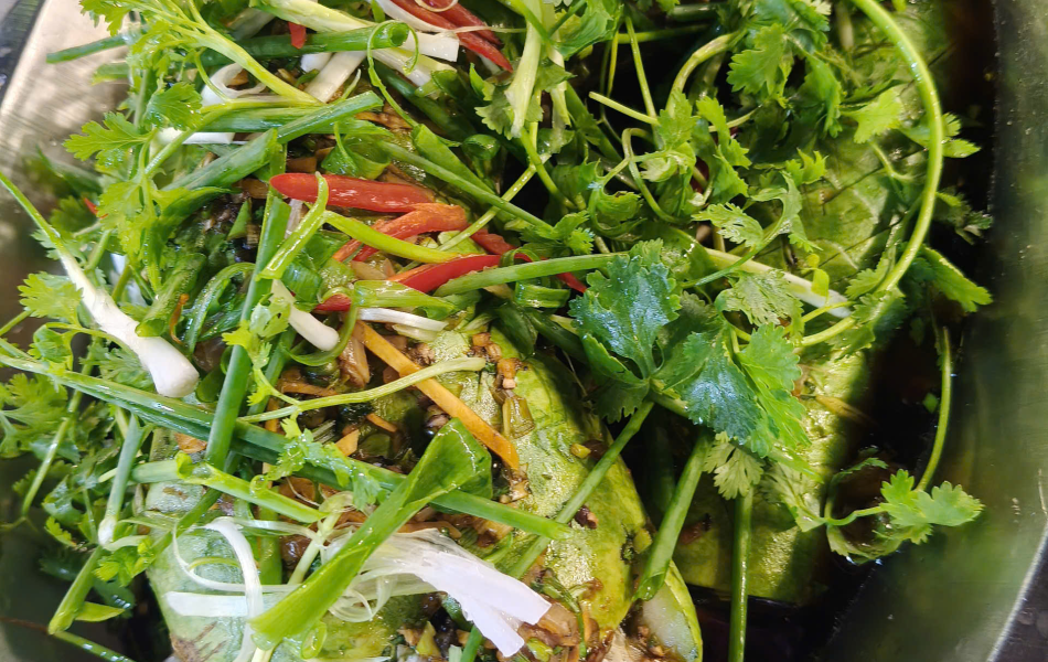 C&aacute; l&oacute;c hấp bầu