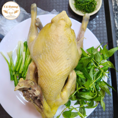 G&agrave; Hấp H&agrave;nh