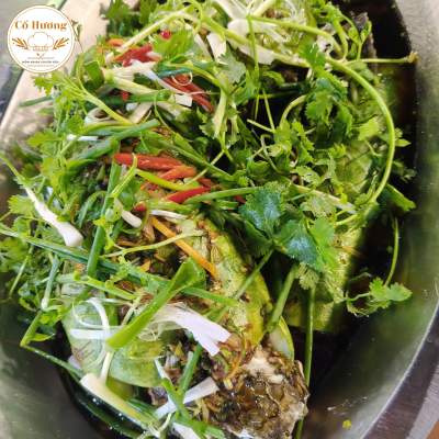 C&aacute; l&oacute;c hấp bầu