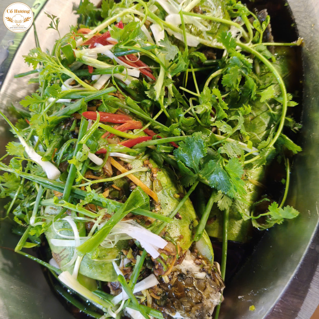 C&aacute; l&oacute;c hấp bầu